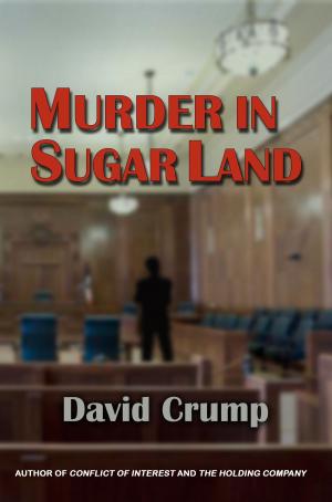 Cover of the book Murder in Sugar Land by Neil J. Smelser