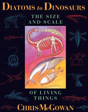 Cover of the book Diatoms to Dinosaurs by Alan Rabinowitz