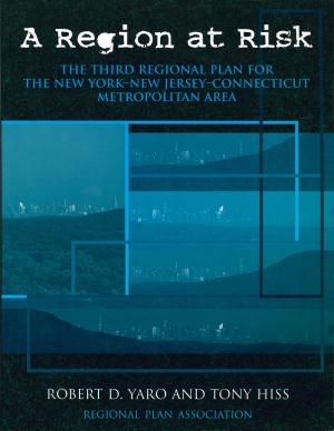 Cover of the book A Region at Risk by Roger Griffis