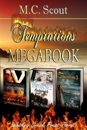 Cover of the book Temptations Megabook by Jane Smith
