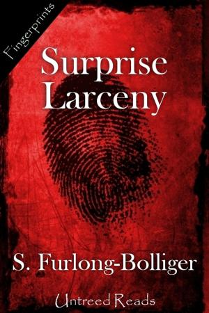 Cover of the book Surprise Larceny by Nigel G. Mitchell