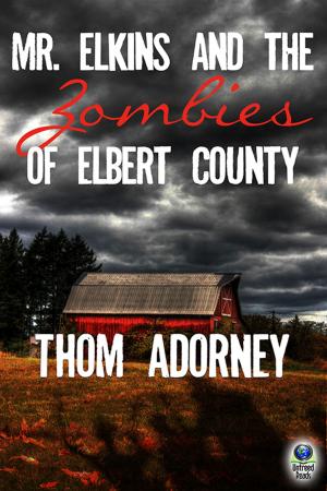 Book cover of Mr. Elkins and the Zombies of Elbert County