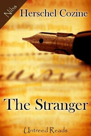 Cover of the book The Stranger by J.T. Wilson