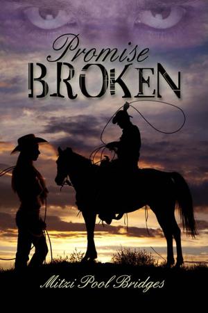 Cover of the book Promise Broken by Misty Simon