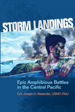 Cover of the book Storm Landings by Stephen Bower Young