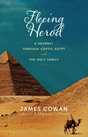 Book cover of Fleeing Herod