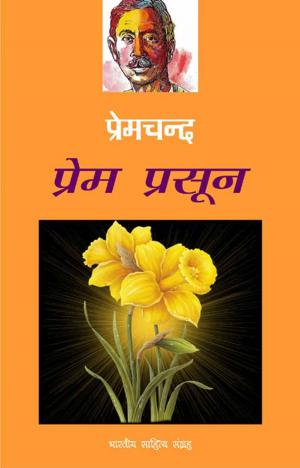 Book cover of Prem Prasun (Hindi Stories)