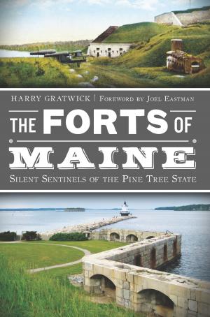 Cover of the book The Forts of Maine: Silent Sentinels of the Pine Tree State by Larry Widen