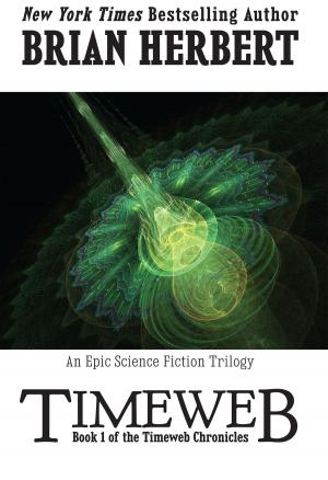 Book cover of Timeweb Chronicles 1: Timeweb