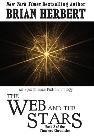 Book cover of Timeweb Chronicles 2: The Web and the Stars