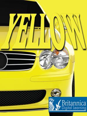 Cover of the book Yellow by David and Patricia Armentrout