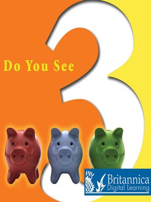 Cover of the book Do You See 3? by Nathaniel Harris