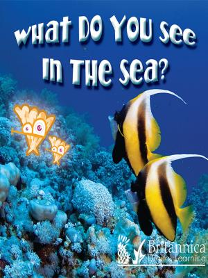 Cover of the book What Do You See in the Sea? by Lynn Stone