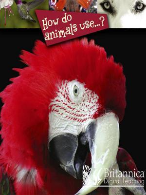 bigCover of the book How Do Animals Use…? by 
