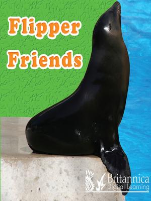 Cover of the book Flipper Friends by Joanne Mattern