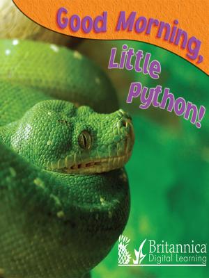 Book cover of Good Morning, Little Python!