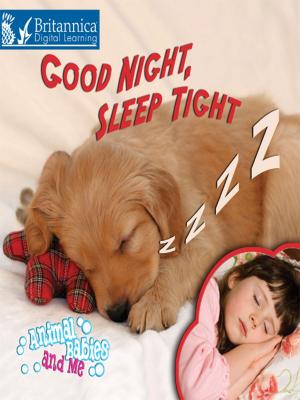 Cover of the book Good Night, Sleep Tight by Sean Sheehan