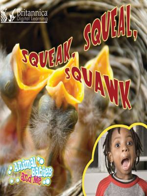 Cover of the book Squeak, Squeal, Squawk by Dr. Jean Feldman and Dr. Holly Karapetkova