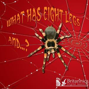 Cover of the book What Has Eight Legs and… ? by Britannica Digital Learning