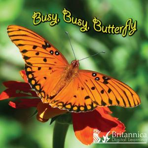Cover of the book Busy, Busy, Butterfly by Dr. Jean Feldman and Dr. Holly Karapetkova