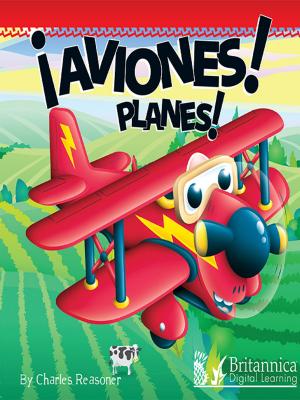 Cover of the book Aviones (Planes) by Meg Greve