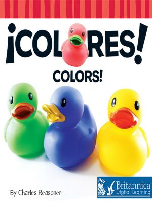Book cover of Colores (Colors)