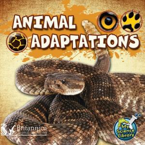 Cover of the book Animal Adaptations by Chris Oxlade
