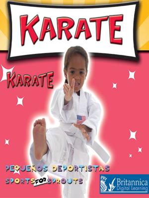 Cover of the book Karate (Karate) by Esther Sarfatti