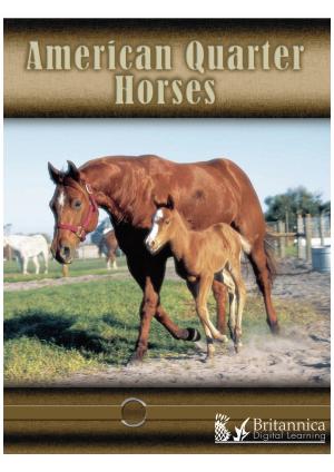 Cover of the book American Quarter Horses by Dr. Jean Feldman and Dr. Holly Karapetkova