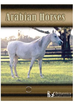 Book cover of Arabian Horses