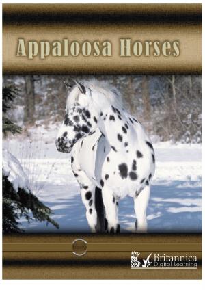 Cover of the book Appaloosa Horses by Jo Cleland
