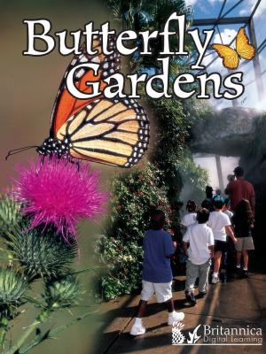 Cover of the book Butterfly Gardens by Savina Collins
