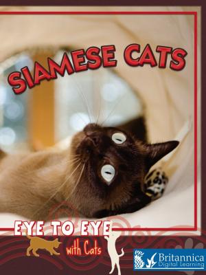 Cover of the book Siamese Cats by Nancy Kelly Allen