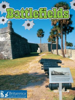 Cover of the book Battlefields by David and Patricia Armentrout