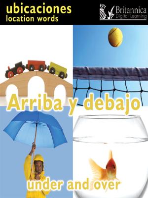 Cover of the book Arriba y debajo (Under and Over:Location Words) by Nigel Sauders