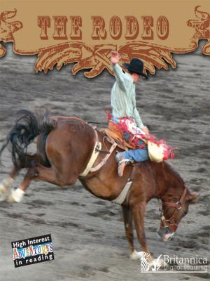 Book cover of The Rodeo