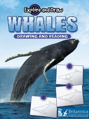 Cover of the book Whales by Luana Mitten and Meg Greve