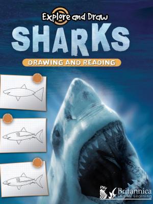 Cover of the book Sharks by Dr. Jean Feldman and Dr. Holly Karapetkova