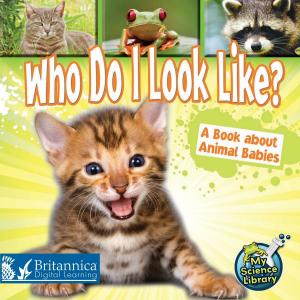 Cover of Who Do I Look Like?