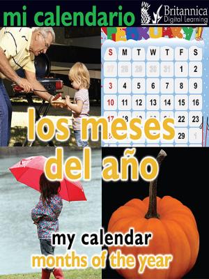 Cover of Mi calendario: Los meses del año (My Calendar: Months of the Year)