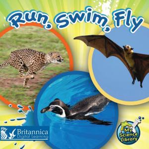 Book cover of Run, Swim, Fly