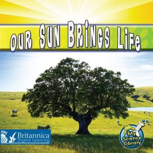 Cover of the book Our Sun Brings Life by Anita Ganeri