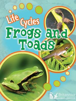 Cover of the book Frogs and Toads by Dr. Jean Feldman and Dr. Holly Karapetkova