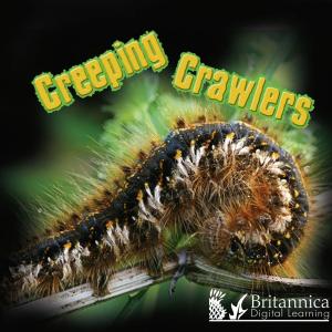 Cover of the book Creeping Crawlers by Holly Karapetkova