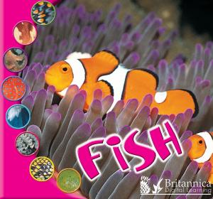 Cover of the book Fish by Dr. Jean Feldman and Dr. Holly Karapetkova