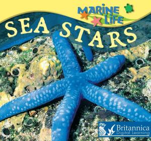 Cover of the book Sea Stars by M.C. Hall