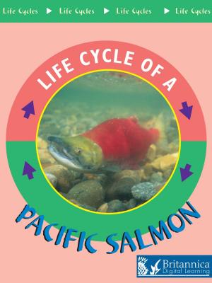 Cover of the book Pacific Salmon by Luana Mitten