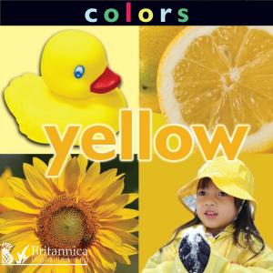 Cover of the book Colors: Yellow by Molly Carroll and Jeanne Sturm