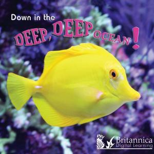 Cover of the book Down in the Deep Deep Ocean by Jenny Vaughan