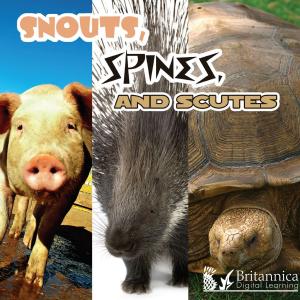Cover of the book Snouts, Spines, and Scutes by Dr. Jean Feldman and Dr. Holly Karapetkova